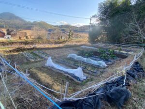 イノ用心をご利用の「お客様の声」が追加されました！