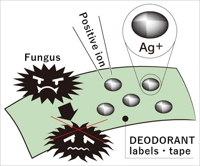 antibacterial mechanism