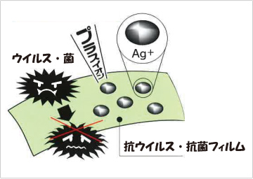 銀の抗ウイルス・抗菌メカニズム